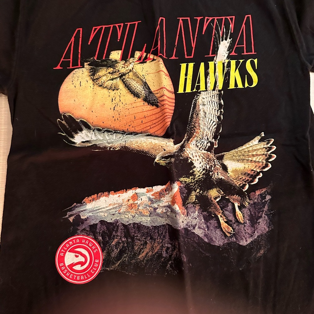 PacSun graphic hawks shirt
